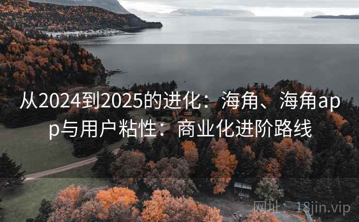 从2024到2025的进化：海角、海角app与用户粘性：商业化进阶路线