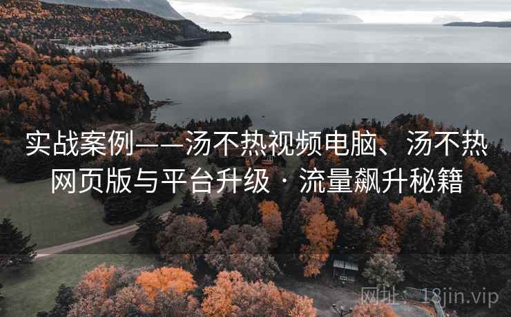 实战案例——汤不热视频电脑、汤不热网页版与平台升级 · 流量飙升秘籍