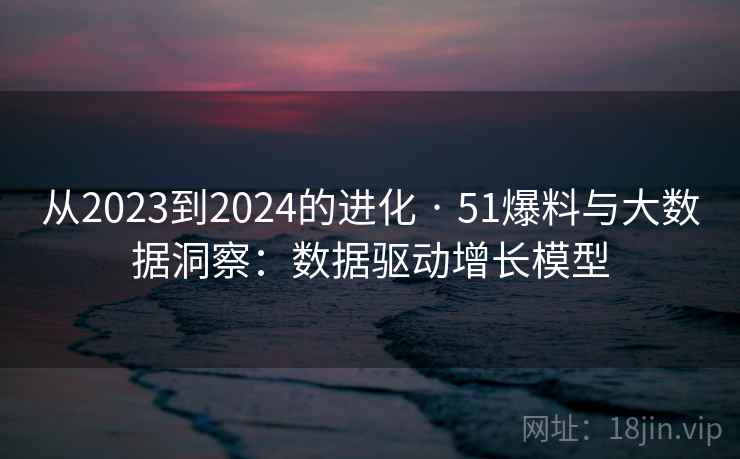 从2023到2024的进化 · 51爆料与大数据洞察：数据驱动增长模型  第1张