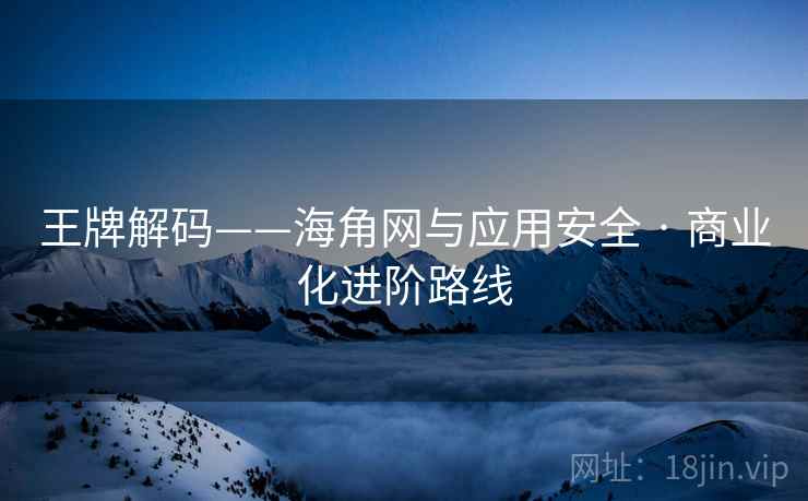 王牌解码——海角网与应用安全 · 商业化进阶路线