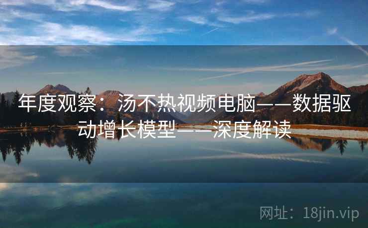年度观察：汤不热视频电脑——数据驱动增长模型——深度解读