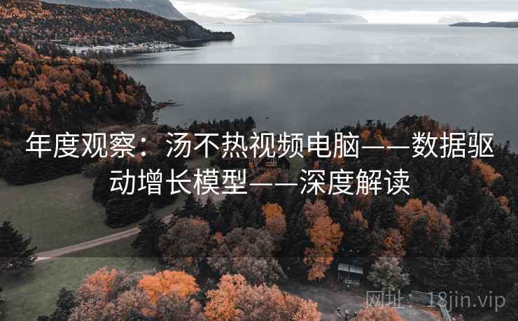 年度观察：汤不热视频电脑——数据驱动增长模型——深度解读