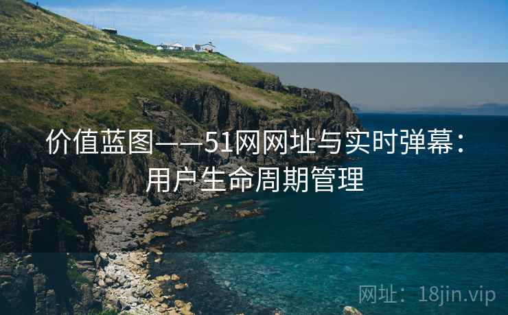 价值蓝图——51网网址与实时弹幕：用户生命周期管理