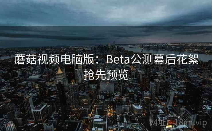 蘑菇视频电脑版：Beta公测幕后花絮抢先预览