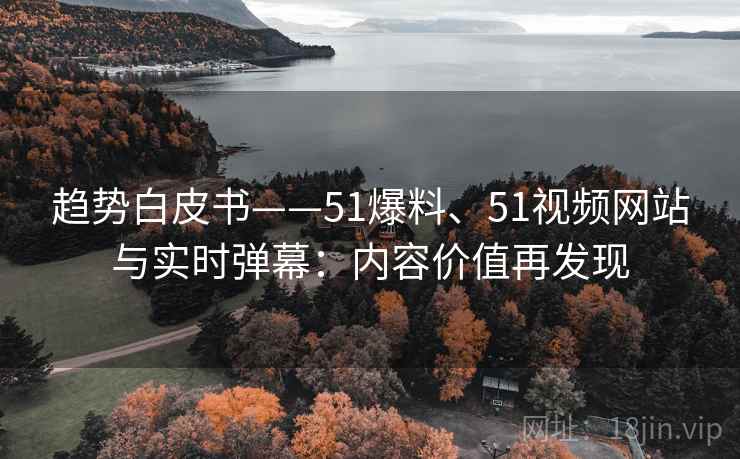 趋势白皮书——51爆料、51视频网站与实时弹幕：内容价值再发现